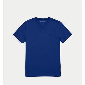 🌷4/20 Tommy Hilfiger blue v neck t-shirt